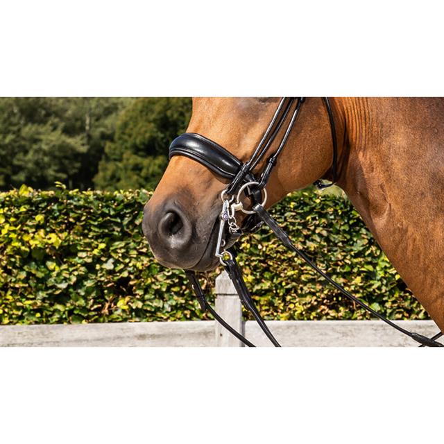 Noseband Dy'on Matte Large S&T Round-Stitched Dressage Collection Black