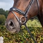 Noseband Dy'on Matte Medium Dressage Collection Black