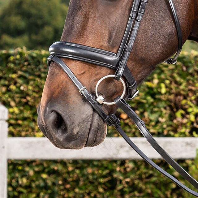 Noseband Dy'on Matte Medium New English Collection Black