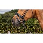 Noseband Dy'on Matte Medium Round-Stitched Dressage Collection Black
