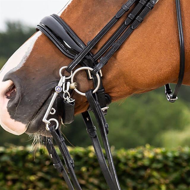 Noseband Dy'on Patent Large S&T Dressage Collection Black