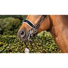 Noseband Dy'on Patent Large S&T Round-Stitched White Dressage Collection Black