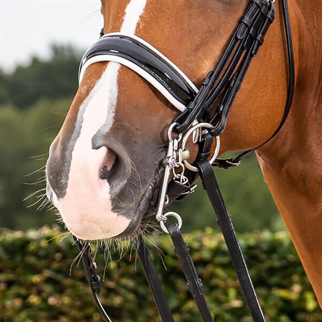 Noseband Dy'on Patent Large S&T With White Padding Dressage Collection Black