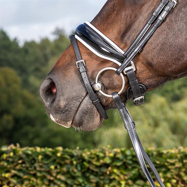 Noseband Dy'on Patent Large With White Padding Dressage Collection Black