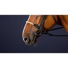 Noseband Dy'on Rope New English Collection Black