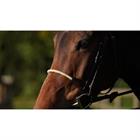 Noseband Dy'on Rope New English Collection Brown