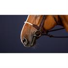 Noseband Dy'on Rope New English Collection Brown