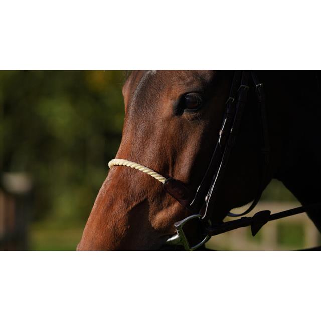 Noseband Dy'on Rope New English Collection Brown