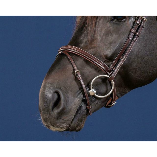 Noseband Dy'on US Hunter Collection Brown