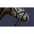 Noseband Dy'on X-Fit New English Collection Black