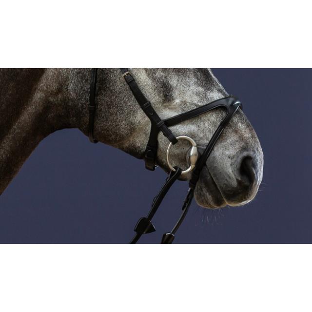 Noseband Dy'on X-Fit New English Collection Black