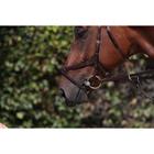 Noseband Dy'on X-Fit New English Collection Brown