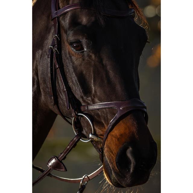 Noseband Dy'on X-Fit New English Collection Brown