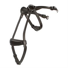 Noseband Horsegear Aquila Brown