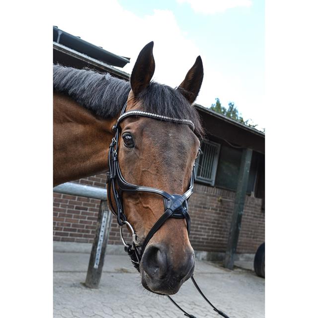 Noseband Montar Fair Fig-8 Black
