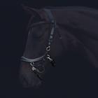 Noseband PresTeq FaySport Black