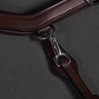 Noseband PresTeq FaySport Brown