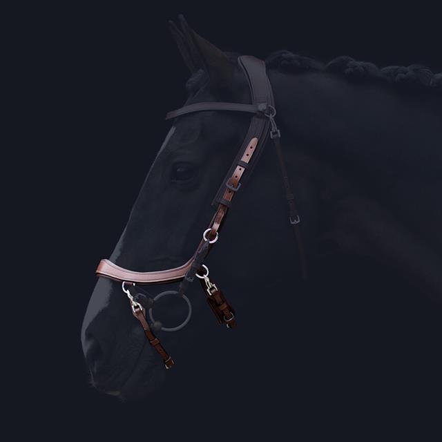 Noseband PresTeq FaySport Brown