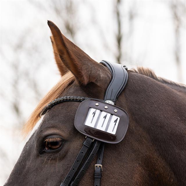 Number Holders QHP Brown