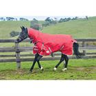 Outdoor blanket Weatherbeeta Comfitec Classic Combo 100gr. Red