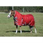 Outdoor blanket Weatherbeeta Comfitec Classic Combo 100gr. Red