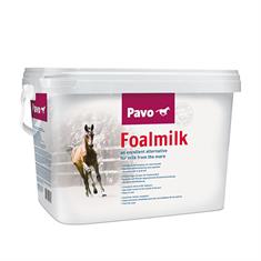 Pavo FoalMilk Multicolour