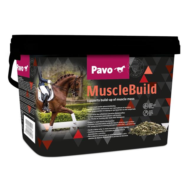 Pavo Muscle Build Multicolour