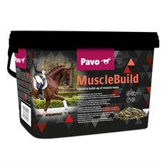 Pavo Muscle Build