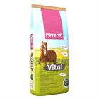 Pavo Vital Multicolour