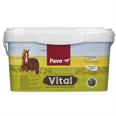 Pavo Vital Multicolour