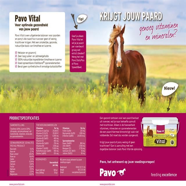 Pavo Vital Multicolour