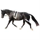 Pessoa Lunging System Epplejeck Black