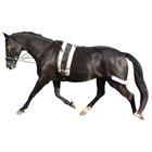 Pessoa Lunging System Epplejeck Black