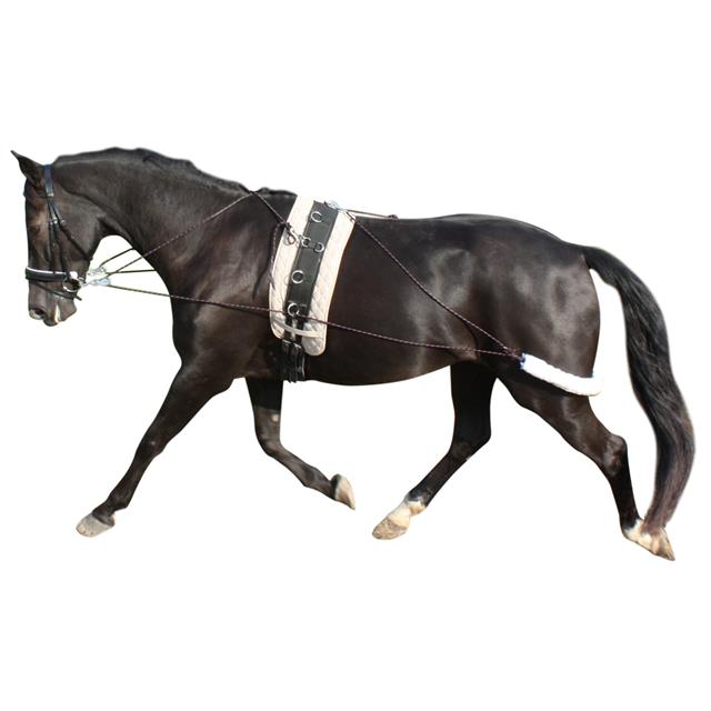 Pessoa Lunging System Epplejeck Black