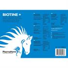 PharmaHorse Biotine+ Multicolour