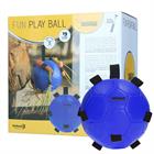 Play Ball Maximus Fun Blue