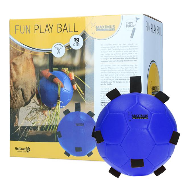 Play Ball Maximus Fun Blue