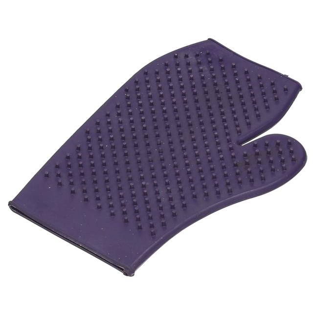 Polish Glove Epplejeck EJRio Junior Purple