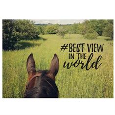 Postcard Best View