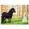 Postcard Dog Other