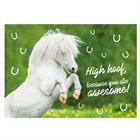 Postcard High Hoof  Other