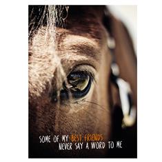 Postcard Horse Best Friend