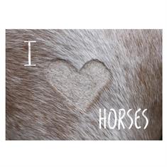 Postcard I Love Horses