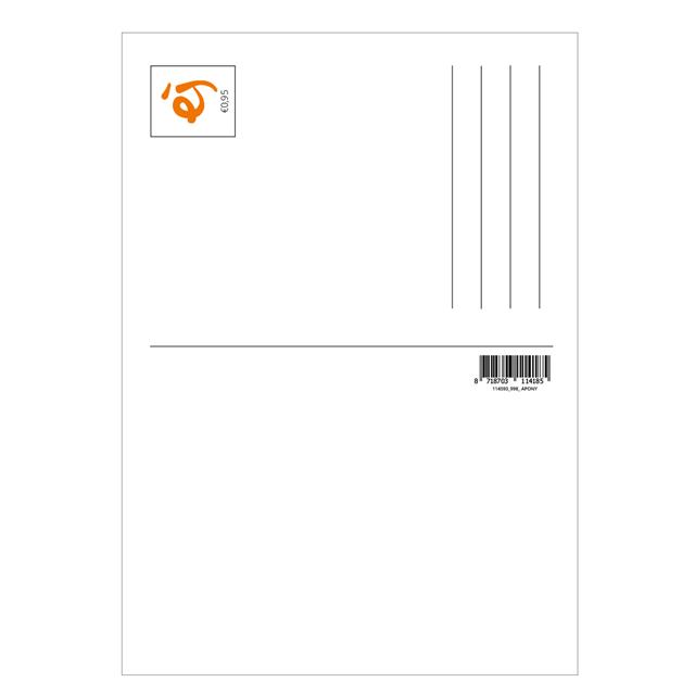 Postcard Pony 