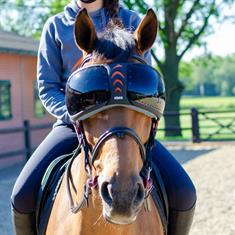 Protective Goggles For Horses eQuick Evysor Darker Black