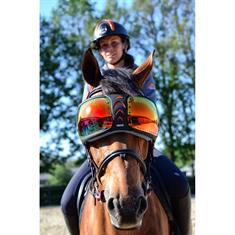 Protective Goggles For Horses eQuick Evysor Rainbow Multicolour