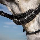 Protective Pad For Pull-Back Strap Dy'on Dressage Collection Black