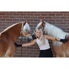 Putzhandschuh Scrub HORSEGEAR Black