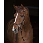 Rambo Micklem Competition Bridle Brown