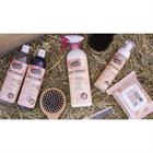 Ravene Easy Shine Shampoo Grey 